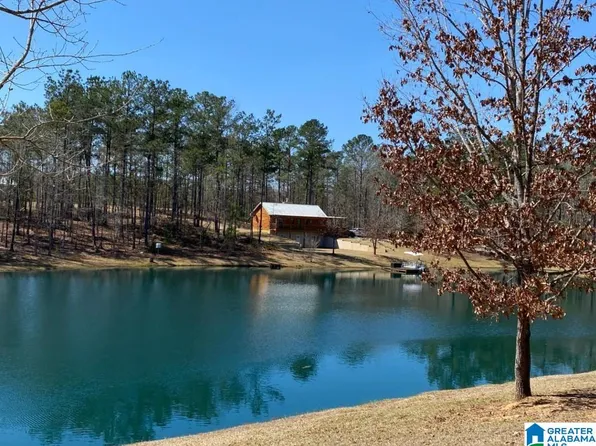 3407 County Road 29, Rockford, AL 35136