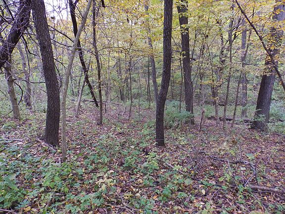 4th image of 0 County Road 1250 E