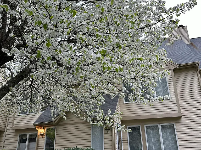 14 Westminster Dr — Photo 26