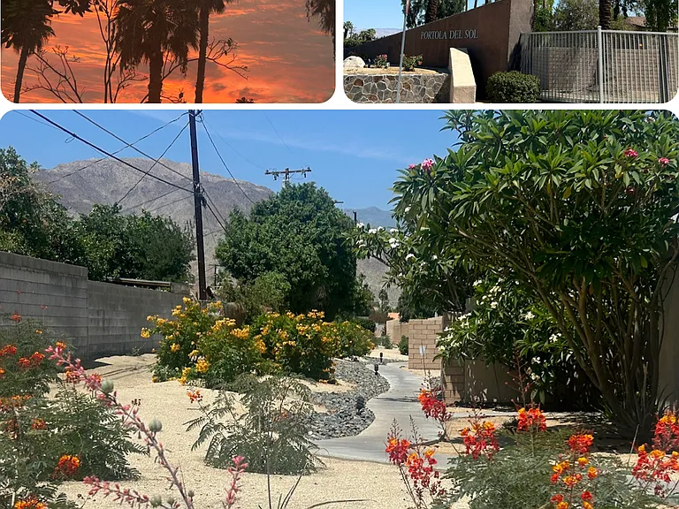 Catalina Way — Photo 28