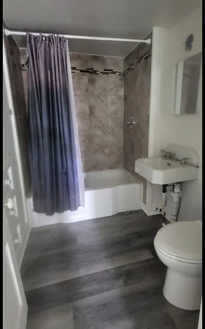 1 bed, 500 sqft, $989 — Photo 1