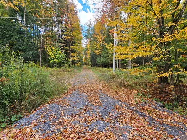 0 Bush Rd Lot 5, Croghan, NY 13327