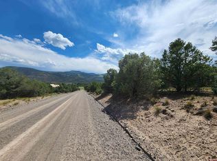 217 Loveland Pass Rd, South Fork, CO 81154