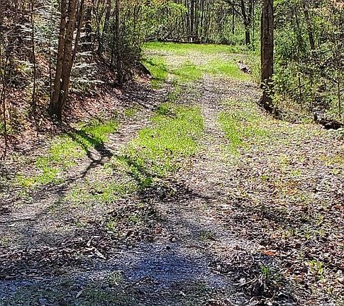 4th image of 331 Chestnut Ridge Rd Lot 15