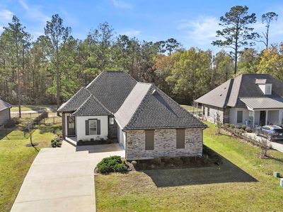 30620 Bluewing Cres, Springfield, LA, 70462