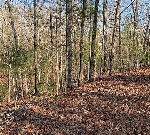 3rd image of 0 Proghorn Ln Lot 22-A
