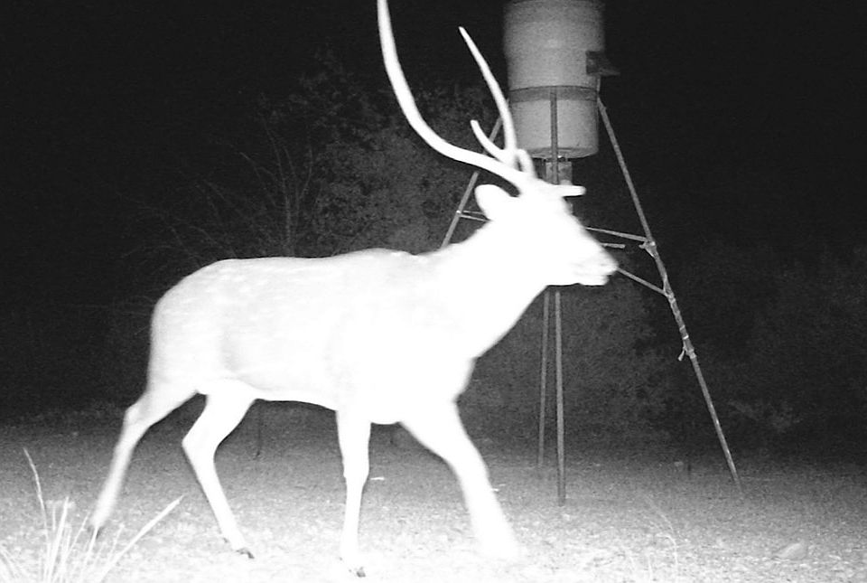 1st image of 2197 Sd 45340