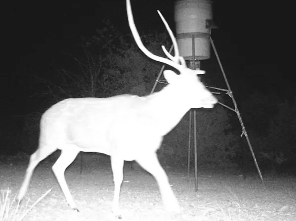 2197 Sd 45340, Rocksprings, TX 78880