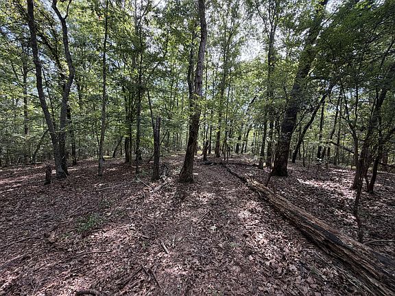 4th image of Oak Ridge Rd
