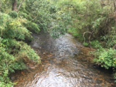 Wolfstake Rd, Blairsville, GA, 30512