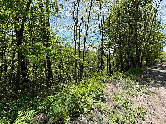 4th image of 0000 Bear Hill Road