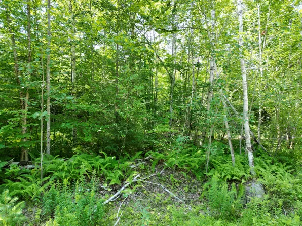 Lot 2 Moores Road, Springfield, ME 04487