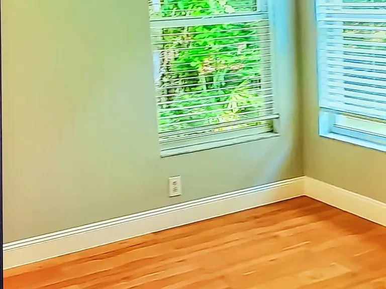 Master Bedroom Windows