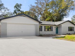 13506 Little Lake Pl, Tampa, FL 33613