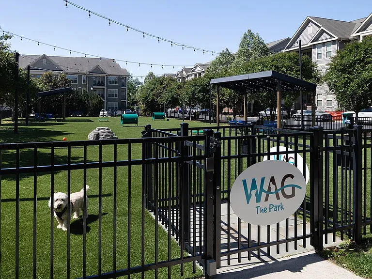 WAG pet park