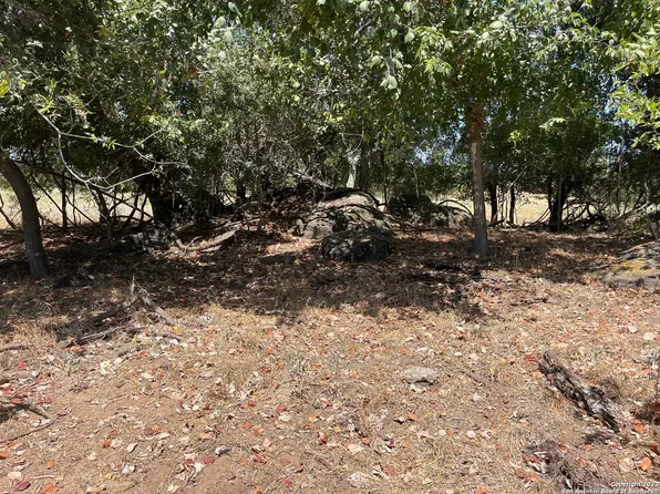 LOT 1 & 2 Turkeyfoot Ln LOT 1, La Vernia, TX 78121