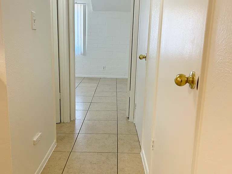 12 Palms — Photo 14