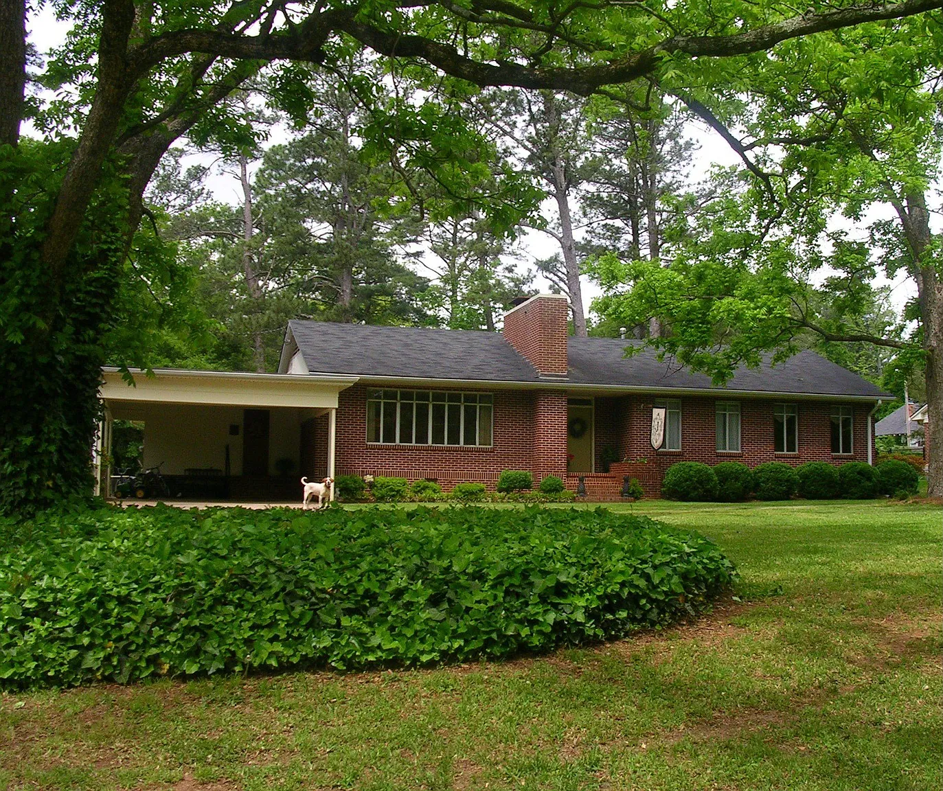 1009 Skyline Dr photo 1