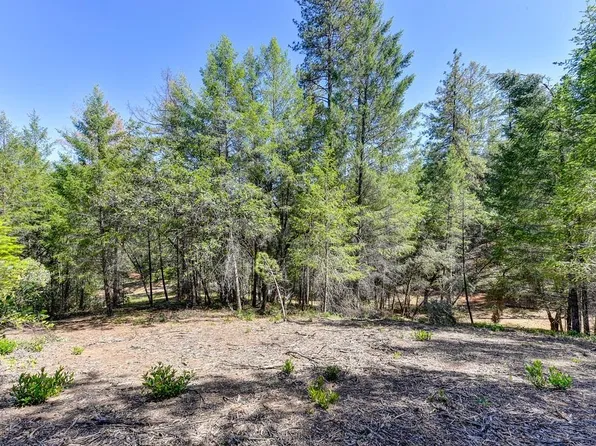 2000 Ponderosa Way, Colfax, CA 95713