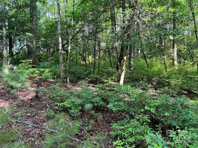 4082 Slick Fisher Rd, Lake Toxaway, NC, 28747