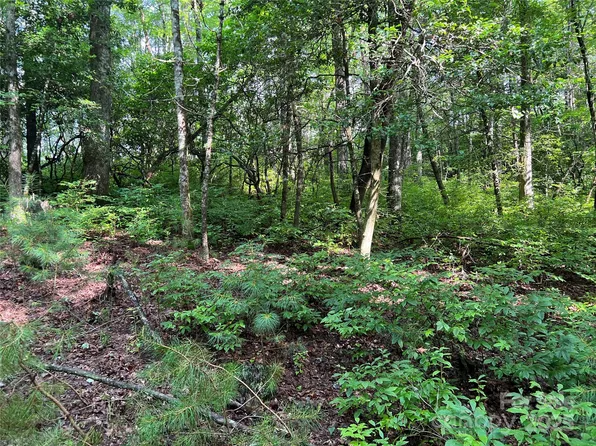 4082 Slick Fisher Rd, Lake Toxaway, NC 28747