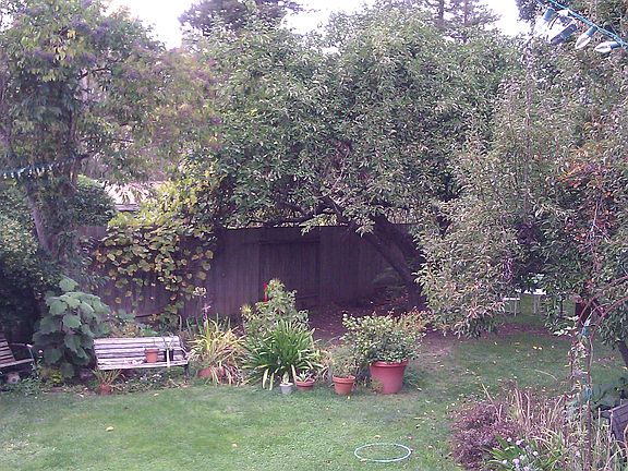 4th image of 535 Sunnyslope Ave