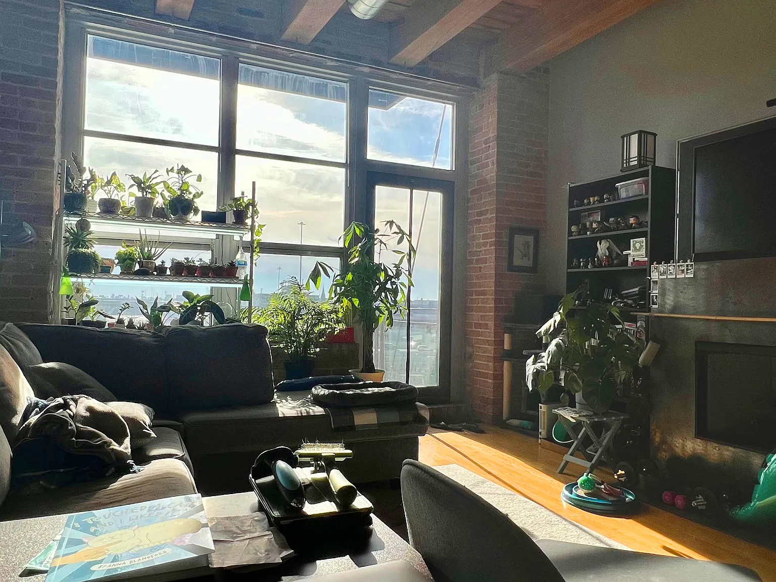 1 bed, 1000 sqft, $3,100 — Photo 1