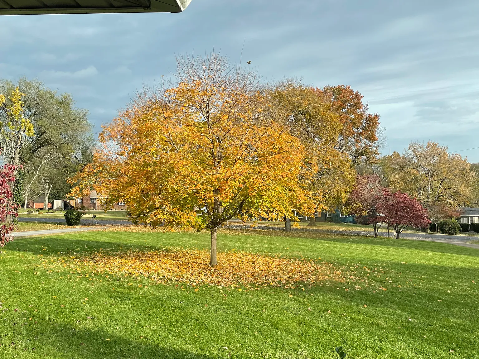 Wellington Dr, Madison — Photo 3