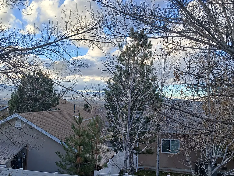 14366 S Lapis Dr — Photo 11