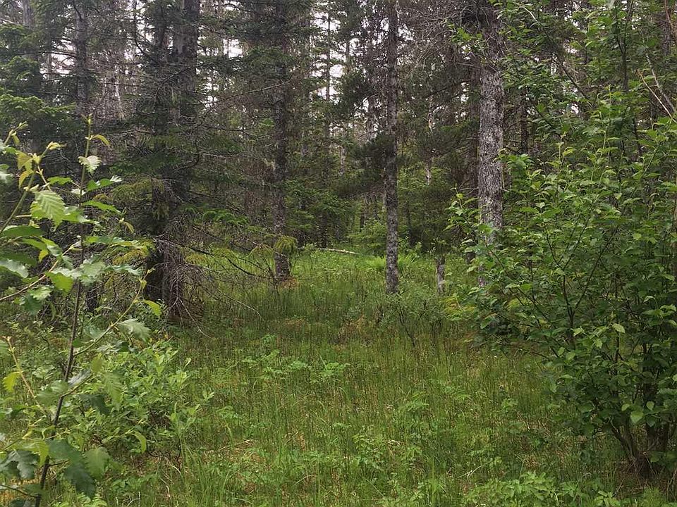 Nhn Blueberry Rd, Gustavus, AK 99826 Zillow