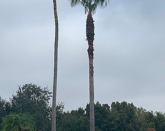 Near exclusive homes