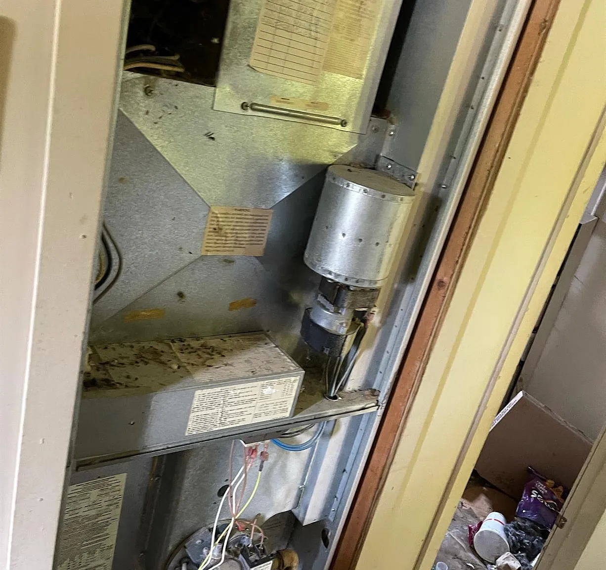 56LL — Photo 3