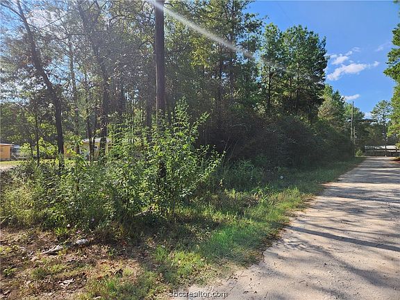 3rd image of LOT 1 Live Oak Dr