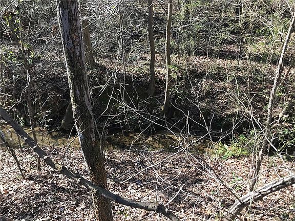 4th image of 515 Hayes Rd