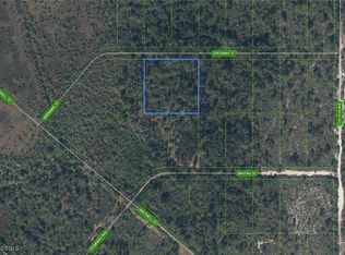 819 Avocado St, Lake Placid, FL 33852