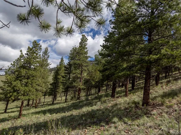 475 Cliff View Drive, Creede, CO 81130