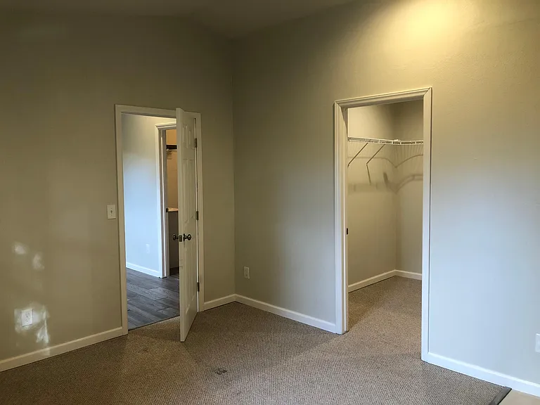 Master BR with vaulted ceilings and huge walk-in closet