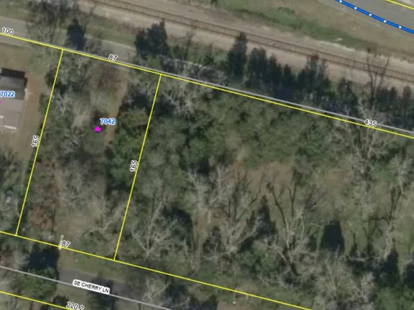 7042 SE Farm Rd, Lee, FL 32059