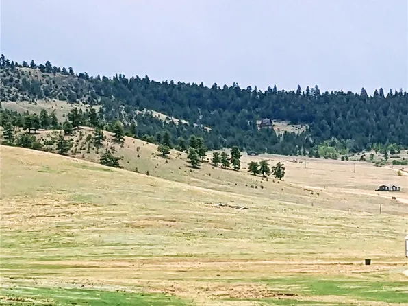 42 Vitorio Trail, Hartsel, CO 80449