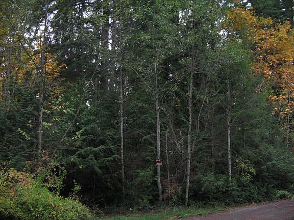 3rd image of INTERSECTION OF Se 396th St And 303rd Ave Se