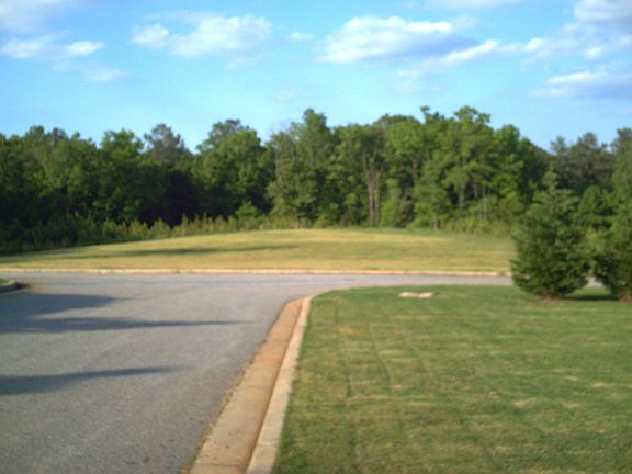 back yard with opened field and forest