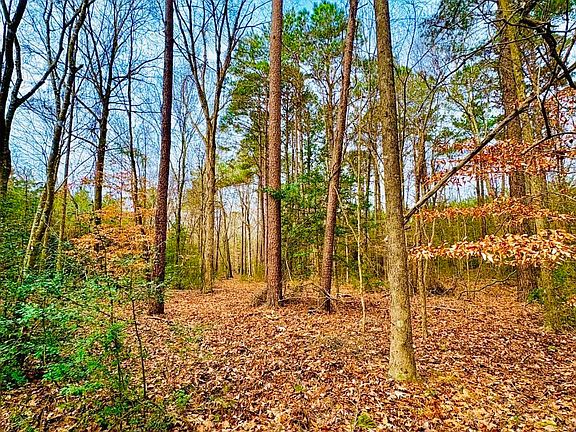 2nd image of LOT 59 County Road 1060