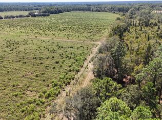 2548 Dry Dock Rd TRACT 1, Metter, GA 30439