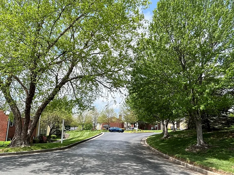 Grounds