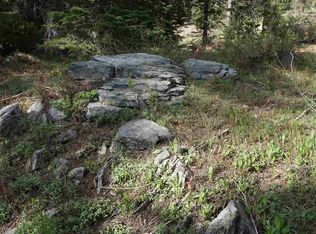 306 Norton Meadows Rd, Bucks Lake, CA 95971