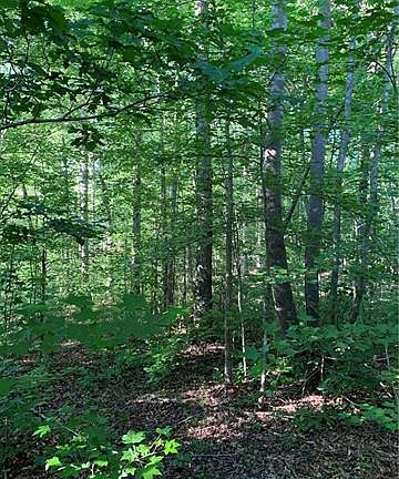 5th image of 146 Forest Creek Dr #26