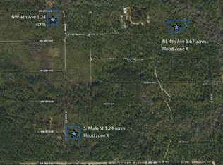 S Main St LOT 39, Palatka, FL 32177