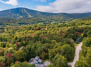 C20 High Meadow Rd, Bondville, VT 05340