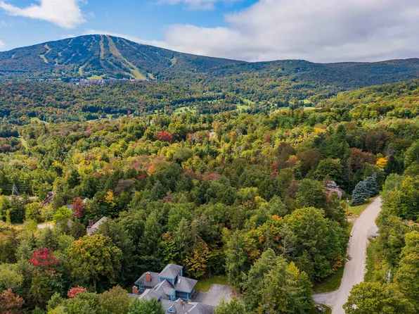C20 High Meadow Road, Winhall, VT 05340