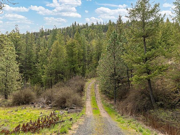 5th image of 231 Hawk Creek Ranch Rd N